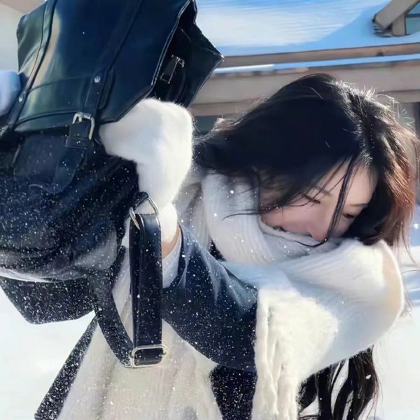 寻找斯蒂夫·麦昆