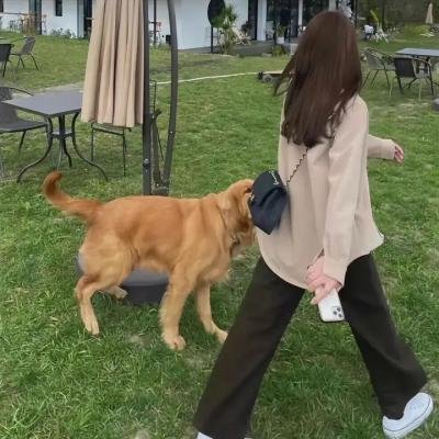 丹顶鹤女孩